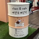 댕댕찹찹 이미지