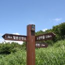 노상마을 Daum카페