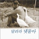냇물 이미지