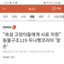 두나펫 코리아 이미지
