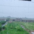 우양의집 이미지