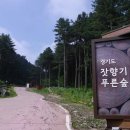 숲향기 목공방 이미지