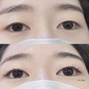 더썹 - 목포시 | 노원 속눈썹펌 더썹 노원점 속눈썹펌 추천 후기 무쌍도 만족!
