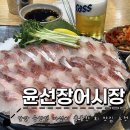 동탄윤선생 | 안산 중앙역 맛집 : 4월 제철 숭어회 먹은 후기 l 윤선생어시장 안산중앙점