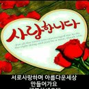 샬롬 이미지