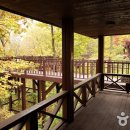 방장산자연휴양림 이미지