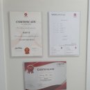 시그니아독일보청기도봉센터 이미지