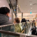 무성1구남자경로당 | 부산 신세계 센텀시티 두앤두 두바이 쫀득쿠키 팝업 후기 및 1월 팝업 일정 공유