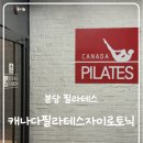 더라인필라테스&자이로토닉센터 | [분당 필라테스] 캐나다필라테스자이로토닉 분당서현점 그룹레슨 후기