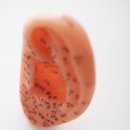 동의명가한의원 이미지