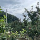 수곡1리 이미지