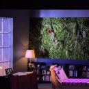 진부도서관 | 연극 엘리펀트송 | 박정복 이석준 회차 자첫 &amp; 자둘 후기 (배우는 취향, 극은 비취향)