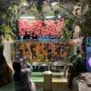 (주)일산씨월드-한화 아쿠아플라넷 일산 | 경기도 실내 아이와 가볼만한곳 아쿠아플라넷 일산 할인 식당 주차 아쿠아리움 실내동물원 이색 놀거리