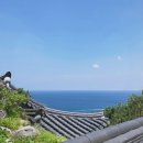 코스포덤 이미지