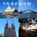 SKY BRIDGE CAFE | [🇦🇺시드니] 시티투어: 하버 브릿지, 오페라하우스, 보타닉 가든, 세인트 메리 대성당, 옵저버토리 힐 노을