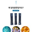 달빛향
