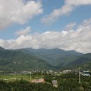 덕산1교 이미지