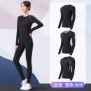 H6319 이미지