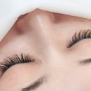 세인자연 이미지