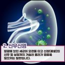 신우내과의원 네이버블로그
