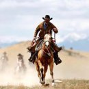 카우보이 이미지