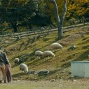 진우목장 이미지