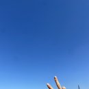 니꼬