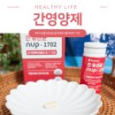 1702 | 간영양제 바이크롬 간유산균 NVP-1702 건강식품 후기