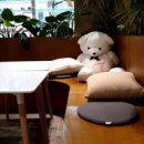 피크니크 이미지