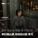 PUB MAZA(펍 마자) | 부다페스트 펍 혼술 추천 롱포드 아이리시펍 여자 혼자 다녀온 후기