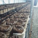 산여울농장 이미지