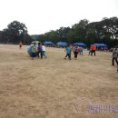 서수면 주민센터 이미지