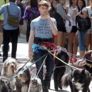 나만고양이없어 이미지