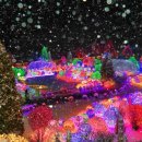 별빛목장 이미지