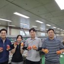 자인농협 농산물 산지유통센터 이미지