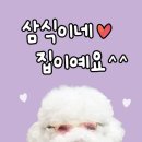 예뻐해줄개 이미지