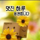 미리네 이미지