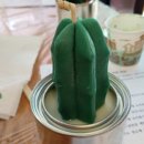 월평주공3단지 이미지