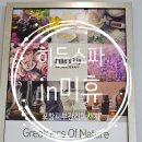 힐링in아로마 이미지