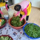 안덕면분회경로당 이미지