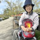Bear mountain, 4월의 봄날 이미지