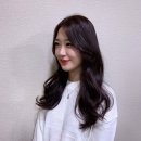 팍스홈서구 | 풍암동미용실에서 와인톤다운 염색후기