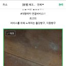 장수타이어이동빵구 이미지