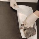 몽몽이엠파크 이미지