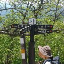 한계령의아침 이미지