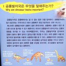 지방887호 | 무등산권 지질공원 [12] 서유리 공룡화석지