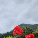 에그리나 이미지