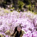 山川에서 이미지