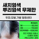 치유살롱