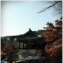 자동우량경보시설 | [봉화]석천계곡, 석천정사, 충재박물관, 석천정 그리고 닭실마을-경북미래문화재단 주최 1박2일 경북...